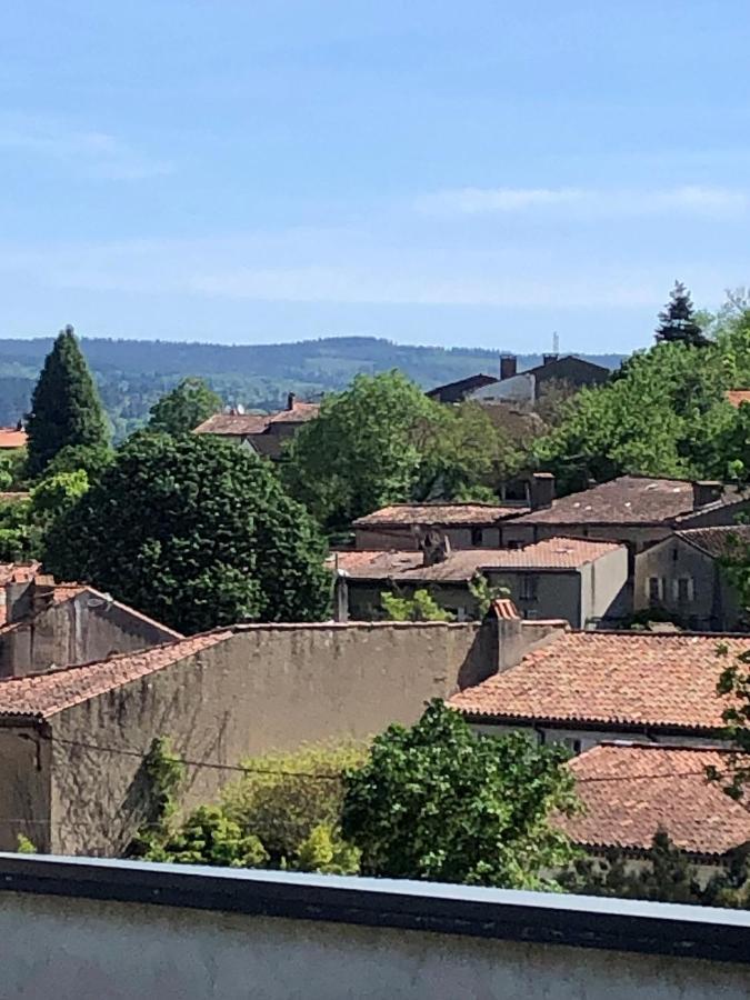 La Grande Maison Mazamet Luaran gambar